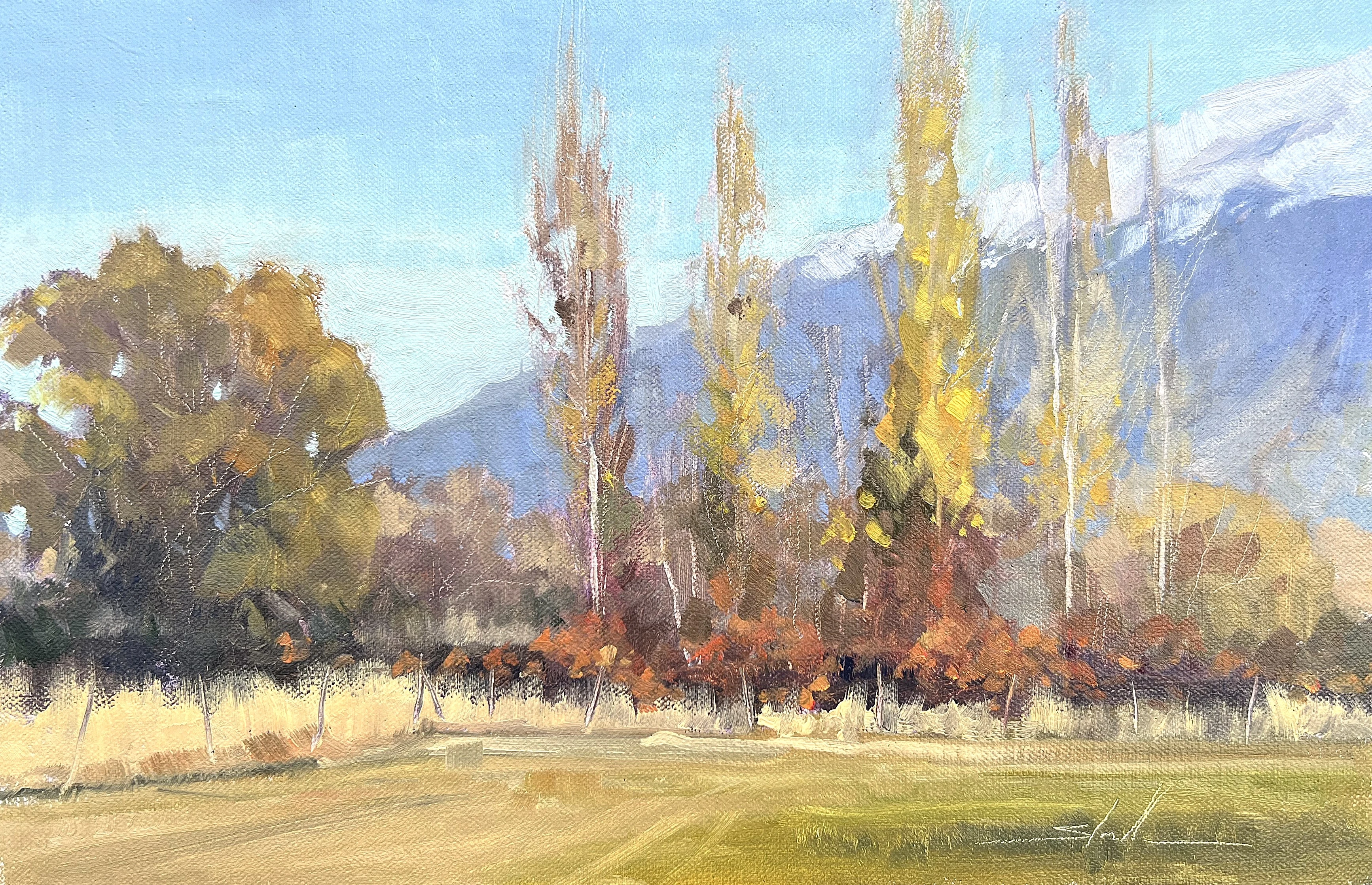 plein air painting of tall golden poplar trees with snow-capped mountains